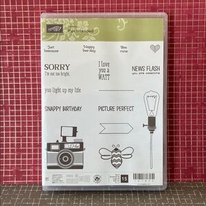 Stampin' Up! Pun Intended Stamp Set, Photopolymer; 15 Stamps; Camera, Bee, Heart